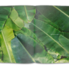 Volume 3: Havana - Image 2