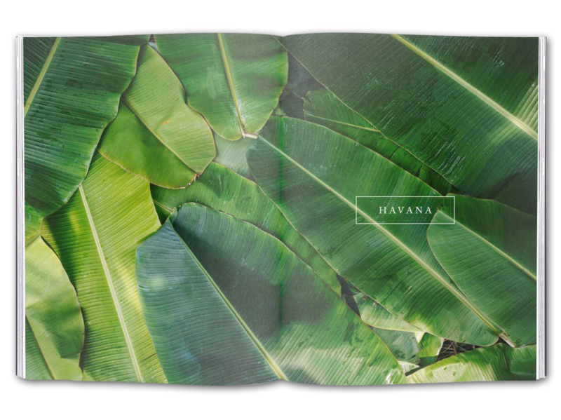 Volume 3: Havana (Wholesale) - Image 2
