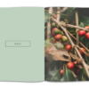 Volume 9: Bali (Wholesale) - Image 2