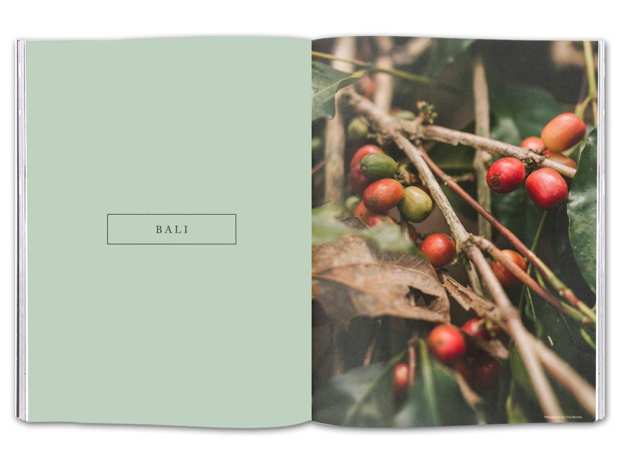 Volume 9: Bali - Image 2