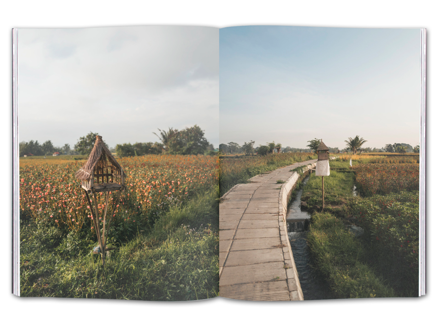 Volume 9: Bali - Image 7