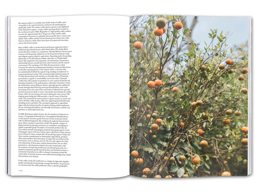 Volume 9: Bali - Image 5