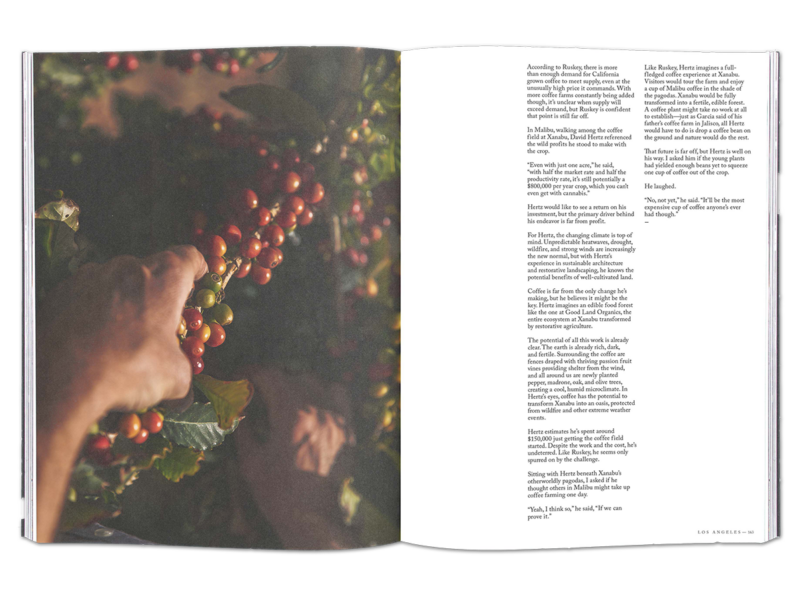 Volume 11: Los Angeles - Image 9